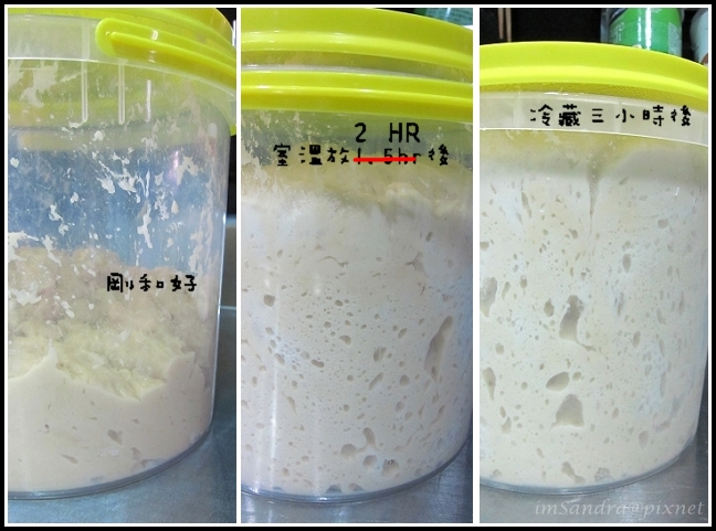 自己做麵包超簡單‧五分鐘軟式麵包(蜂蜜辮子胖&蘭姆葡萄胖)