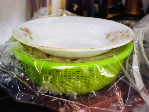 【懶人種菜】黑手指（？）也能自己發豆芽！