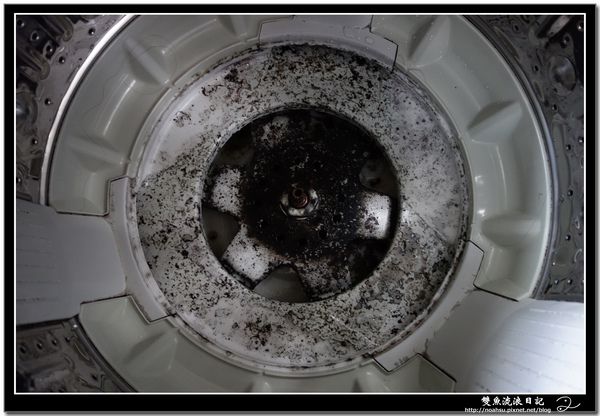 【超噁！衣服越洗越髒的原因原來是....？】你家的洗衣機乾淨嗎？