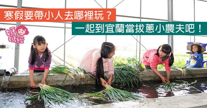 寒假去宜蘭拔蔥做蔥油餅!親子下田當小農夫