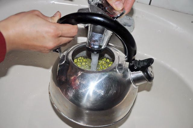 零失敗在家輕鬆孵出無毒豆芽菜