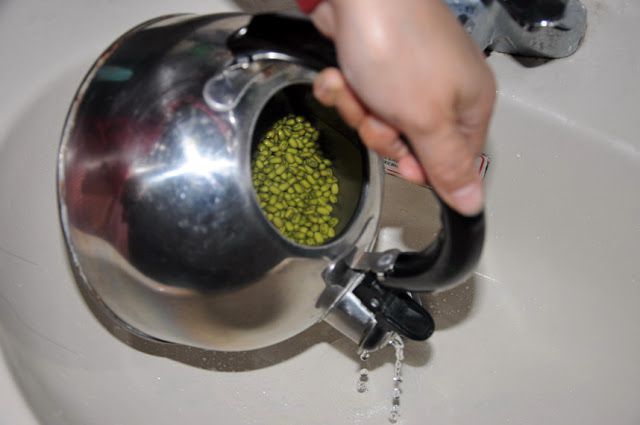 零失敗在家輕鬆孵出無毒豆芽菜