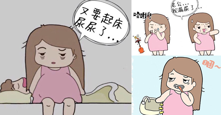 【漫畫】懷孕四部曲：漏尿頻尿失眠又卡肚