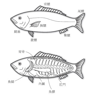 備料難搞定？做菜的11個基本功
