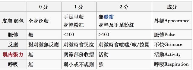 《楊為傑醫師》兒科醫師教您判斷，我的新生兒健康嗎？