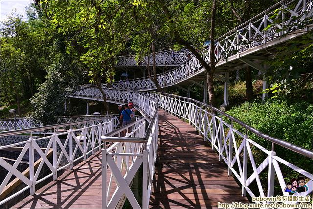 【親子景點】穿梭在樹之巔的天空廊道：竹崎親水公園