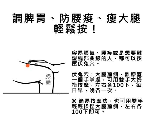 穴道就是祕密！中醫：按伏兔穴瘦大腿，敲膽經瘦屁股