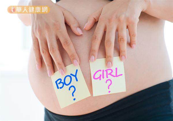 包生男:男吃肉、女吃菜?吳明珠:過頭恐釀不孕