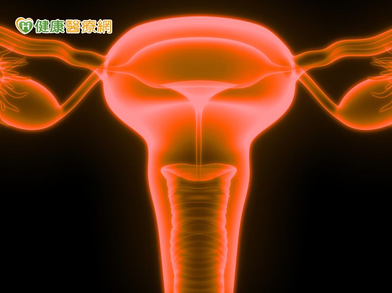 注意！超過五成婦女產後會子宮脫垂