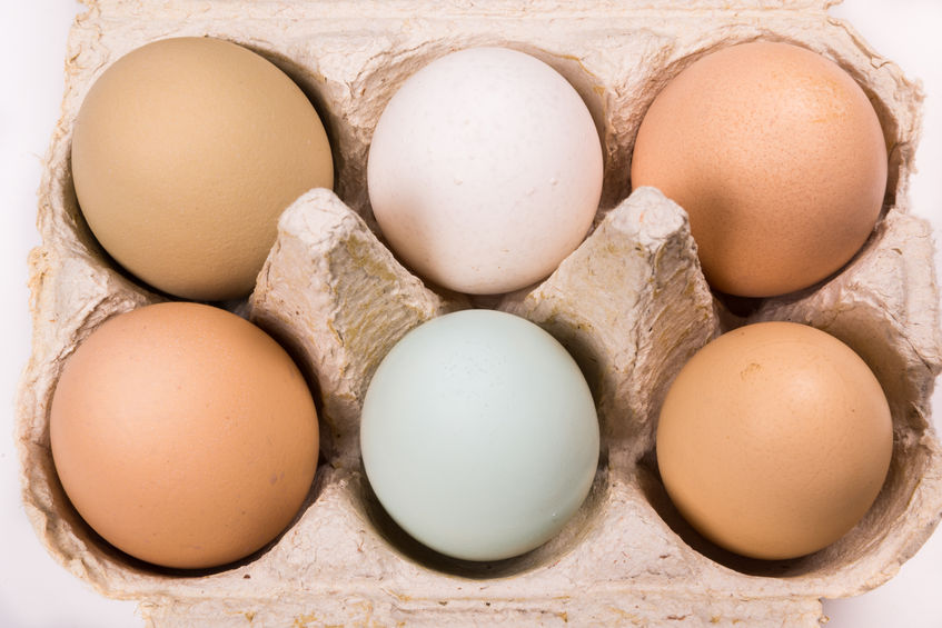 雞蛋尖頭朝下擺能保鮮？吃蛋三知識避免吃壞蛋