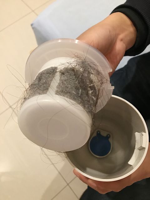 居家清潔不注意,易誘發小孩氣喘?