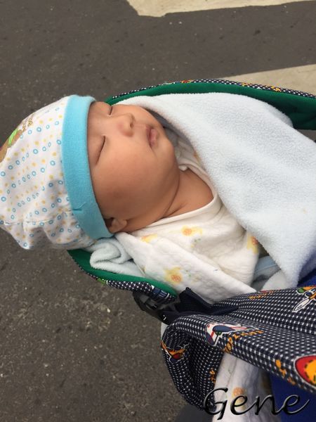 嬰幼兒辦護照，完美大頭照實拍技巧