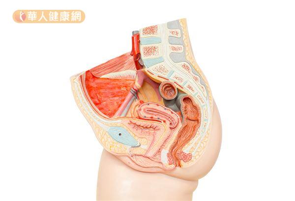 神秘「G點」GG了?陰蒂高潮其實更快更猛烈