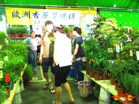 開門七寶準備好,入厝避煞好運來