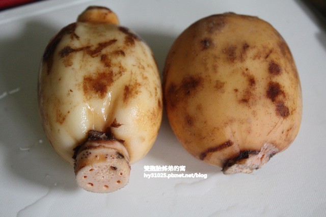  女人好朋友：滋陰抗衰蓮藕茶（附蓮藕保存方法）