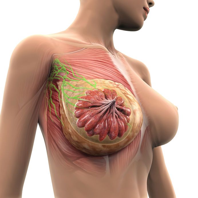 乳房硬得像鉛球！四招塞奶按摩解除乳腺硬塊危機