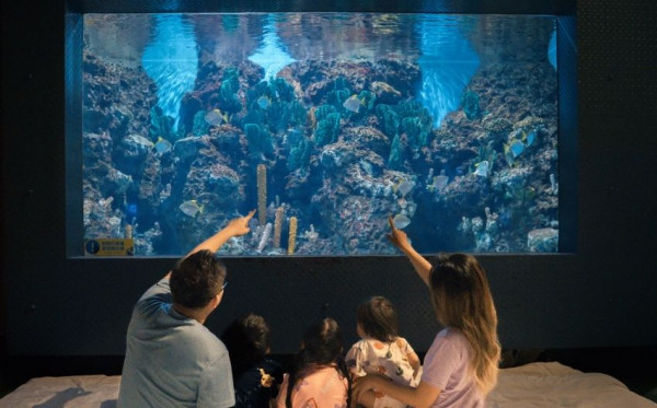 🐠 花蓮遠雄海洋公園夜宿 限時優惠｜2大1小5198元起！入住水族館與魚兒共眠，兩天一夜海洋探索之旅！