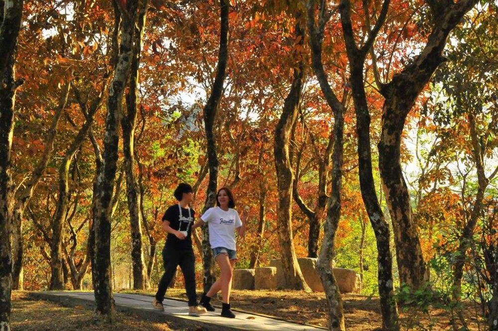 圖片：紅葉公園（圖片來源台南旅遊網）