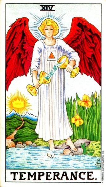 《塔羅》超準!一張牌說出妳為何減肥不成功