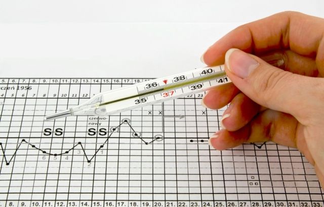 抓準排卵日做功課 懷孕事半功倍 媽媽經 專屬於媽媽的網站 抓準排卵日做功課 懷孕事半功倍 媽媽經 專屬於媽媽的網站