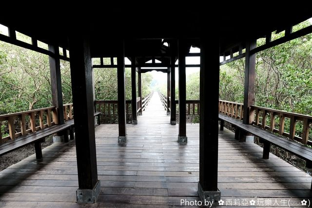 【親子旅遊】壯觀的大自然教室:紅毛港紅樹林生態遊憩區