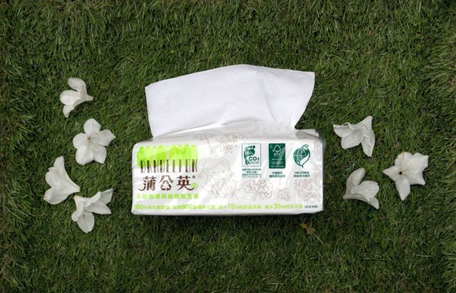 拯救受傷的地球,教孩子做環保從「這件事」開始!