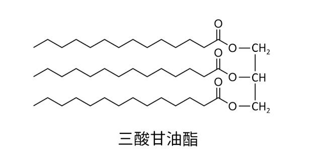 高溫烹調該用哪種油?