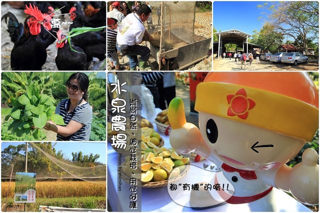 【高雄景點】高雄這樣最好玩:高雄旅遊路線規劃,港都吃喝玩樂懶人包