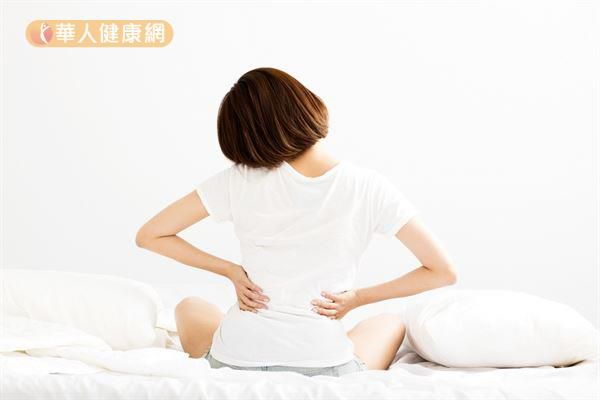 專剋虛胖體質，「杜仲茶」清腸甩肉新選擇！