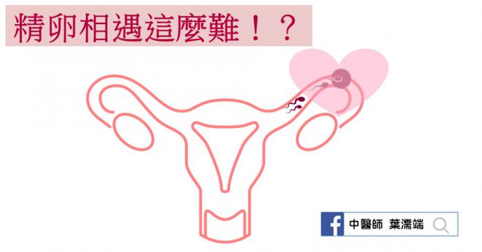 別人懷孕好容易 實際按排卵日操課卻難受孕 媽媽經 專屬於媽媽的網站 別人懷孕好容易 實際按排卵日操課卻難受孕 媽媽經 專屬於媽媽的網站