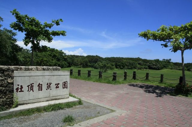 【螢火蟲漫天飛舞超夢幻】2018全台賞螢火蟲景點懶人包