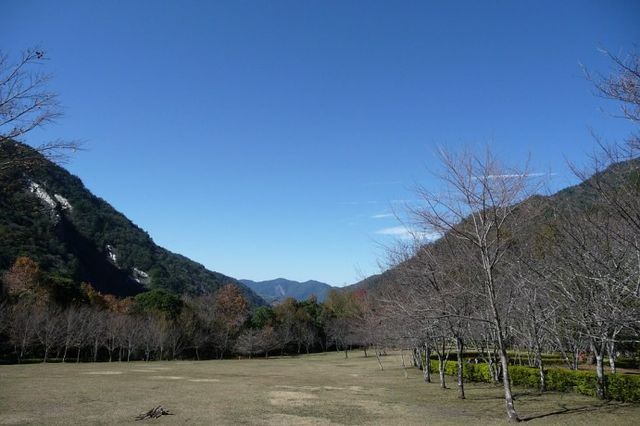 【螢火蟲漫天飛舞超夢幻】2018全台賞螢火蟲景點懶人包