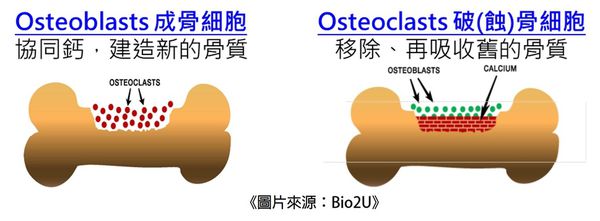 常見引起骨質疏鬆的藥物總整理