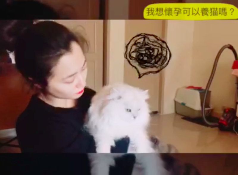 趙小僑：懷孕可以養貓嗎？老公擔心「會過敏」直搖頭