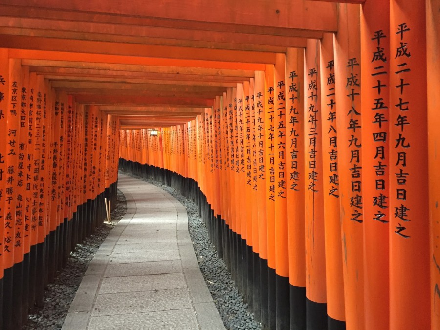 【日本】京都五天四夜規劃,清水寺、金閣寺、京都車站、和服,怎麼安排路線?