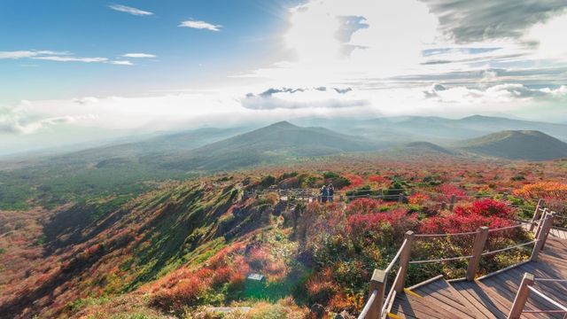 【韓國】濟州島五天四夜行程規劃、必玩景點推薦,東門市場、牛島、漢拏山一次玩遍!