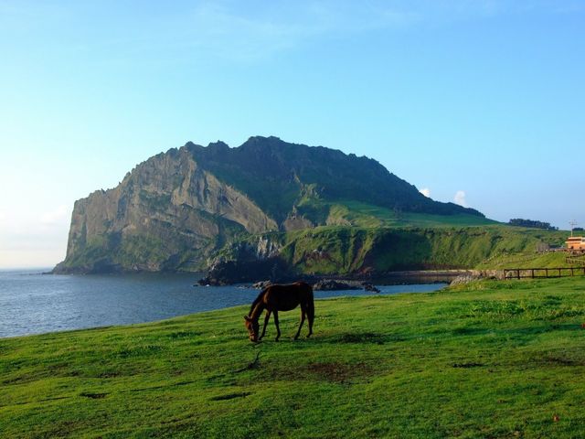 【韓國】濟州島五天四夜行程規劃、必玩景點推薦,東門市場、牛島、漢拏山一次玩遍!
