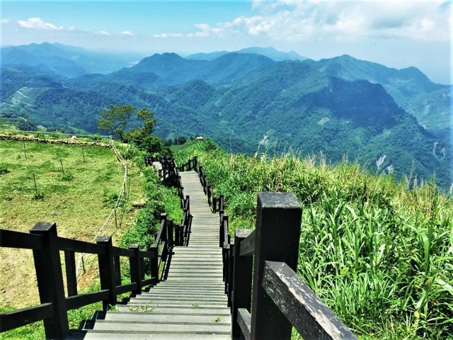 2018嘉義阿里山旅遊景點推薦 嘉義阿里山步道×在地體驗×美食