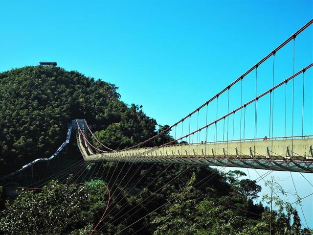 2018嘉義阿里山旅遊景點推薦 嘉義阿里山步道×在地體驗×美食