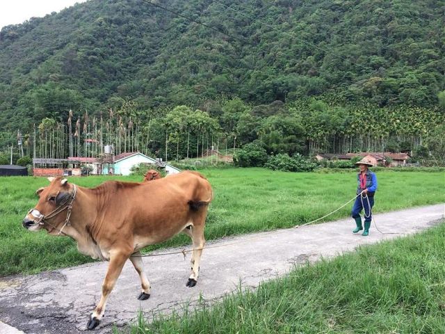 南投單車路線:低碳又輕鬆健康的旅行!南投單車路線推薦TOP8