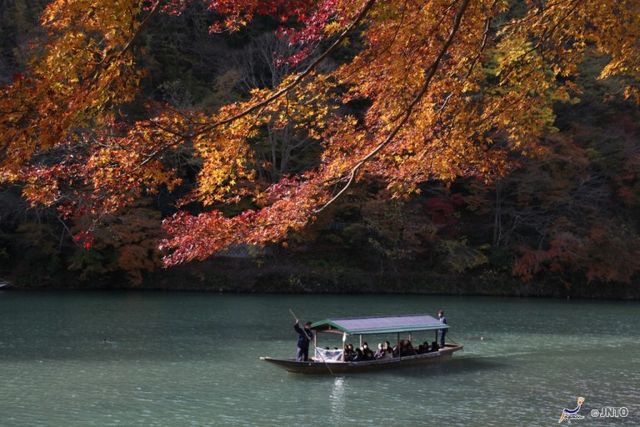 暑假旅遊去日本打卡景點Top6|同場加映:日本賞楓打卡景點!
