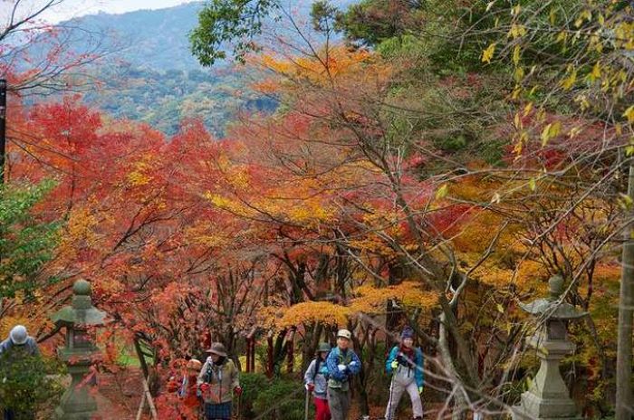 2018日本賞楓必看懶人包!TOP5日本紅葉景點推薦