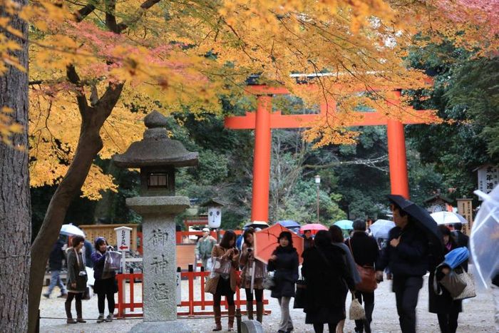2018日本賞楓必看懶人包!TOP5日本紅葉景點推薦