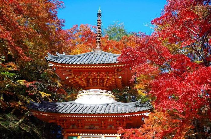 2018日本賞楓必看懶人包!TOP5日本紅葉景點推薦