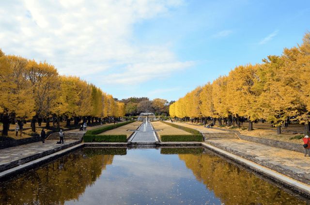 最適合秋季旅遊的 4 個海外景點!捕捉「限定美景」就趁現在
