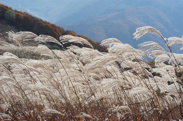 最適合秋季旅遊的 4 個海外景點!捕捉「限定美景」就趁現在