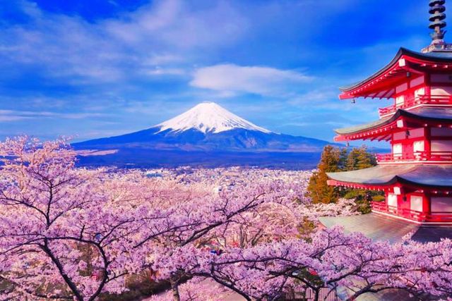 搭日本夜行巴士玩透透!省時又省錢的日本夜間巴士推薦路線