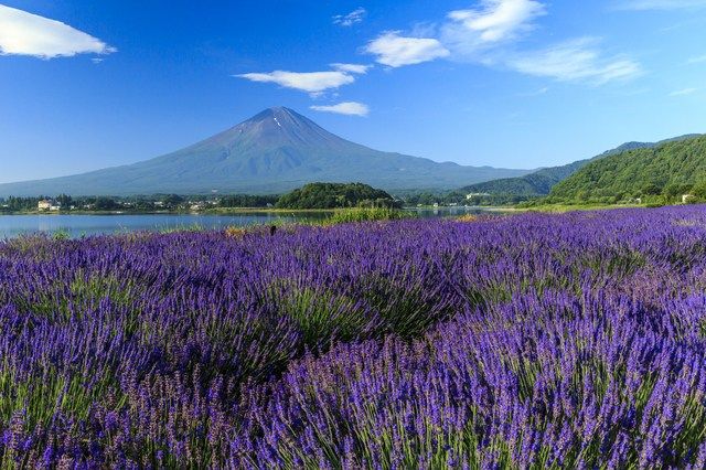搭日本夜行巴士玩透透!省時又省錢的日本夜間巴士推薦路線