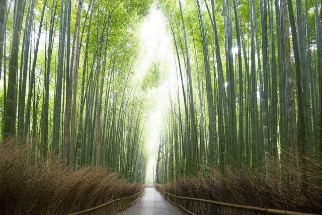 搭日本夜行巴士玩透透!省時又省錢的日本夜間巴士推薦路線