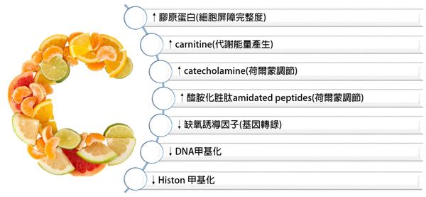 維生素C,鋅,預防感冒
